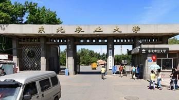 哈尔滨工业大学排名怎么样？ 黑龙江省的名山有哪些图4